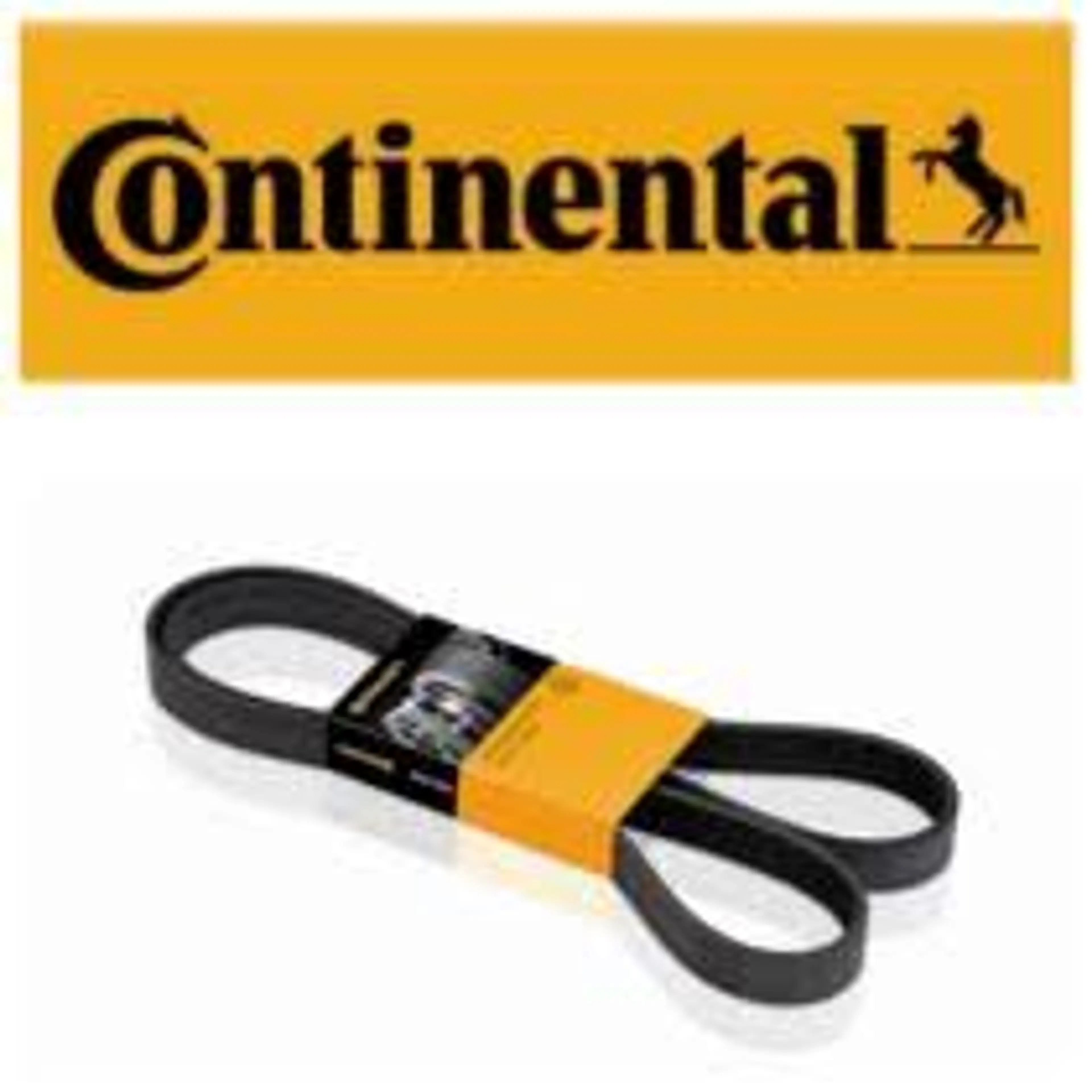 CONTI CORREA TRAP